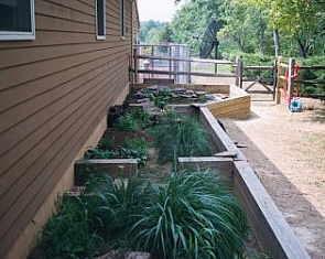 Photo of an outdoor box turtle pen.