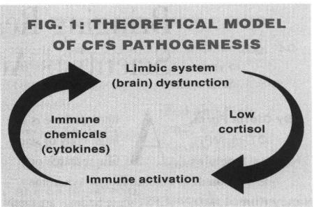Theoretical model of CFS pathogenesis