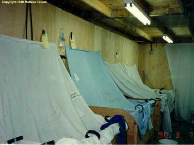 The sheets were draped over the pelicans, as with the other seabirds, to reduce their stress in the facility.  The tenting for the pelicans was to accomodate their height when they sat and stood up.  You can see one of the IV bags hanging on the wall between the first two tents.