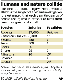 Humans and Nature Collide. Injuries and fatalities.