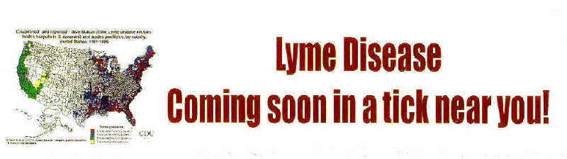 Bumpersticker says: Lyme Disease - Coming soon in a tick near you!