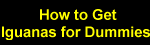 Find out how to order Iguanas for Dummies