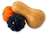 Winter squashes are more nutritious than the summer squashes.  They are quite hard and should be peeled before shredding for herbivore and omnivore salads.  Click on the photo to go to a webpage that gives descriptions and names of various winter squashes. (Photo copyright 1998 Wegmans Produce)